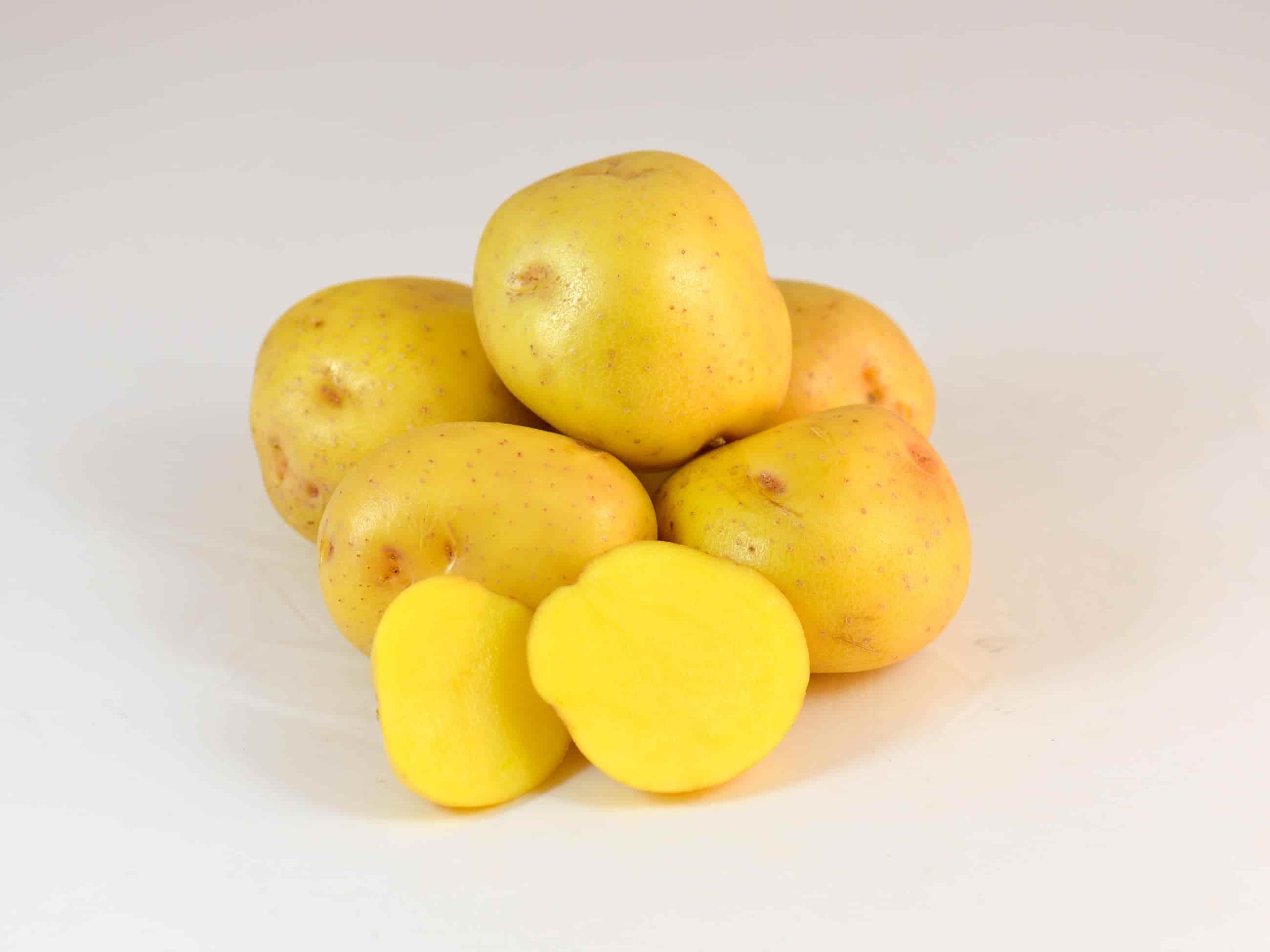 راهنما ی خرید سیب زمینی زرد + قیمت عالی